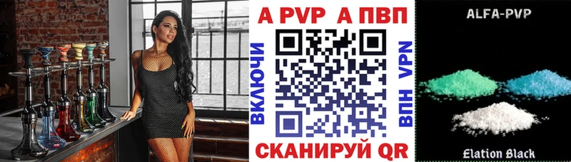 блэк спрут как зайти  Кораблино  Альфа ПВП СК 
