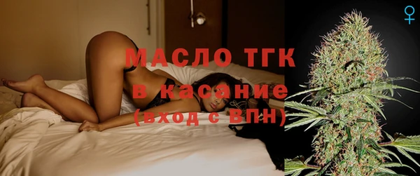 spice Михайлов