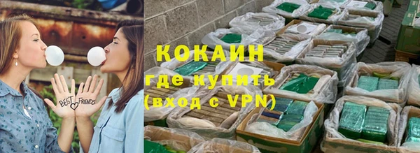 дживик Майский