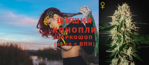 spice Михайлов